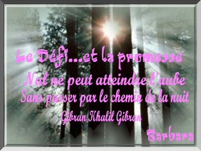 Le d�fi et la promesse/ok